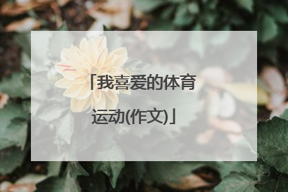 我喜爱的体育运动(作文)