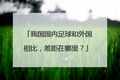 我国国内足球和外国相比，差距在哪里？