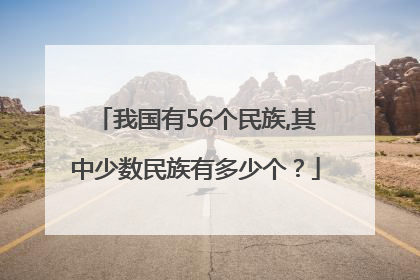 我国有56个民族,其中少数民族有多少个？