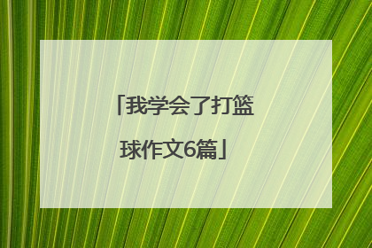 我学会了打篮球作文6篇