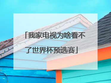 我家电视为啥看不了世界杯预选赛