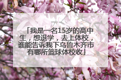 我是一名15岁的高中生，想退学，去上体校，谁能告诉我下乌鲁木齐市有哪所篮球体校收