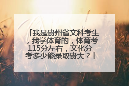 我是贵州省文科考生，我学体育的，体育考115分左右，文化分考多少能录取贵大？