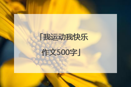 我运动我快乐 作文500字