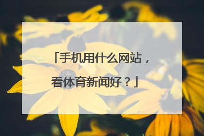 手机用什么网站，看体育新闻好？