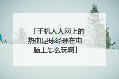 手机人人网上的热血足球经理在电脑上怎么玩啊