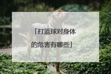 打篮球对身体的危害有哪些