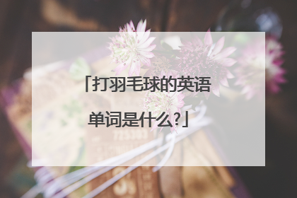 打羽毛球的英语单词是什么?