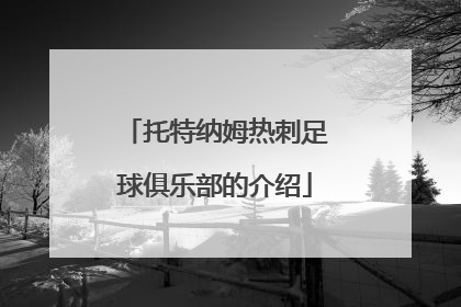 托特纳姆热刺足球俱乐部的介绍