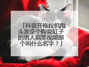 抖音开拖拉机甩头发拿个陶瓷缸子的男人搞笑视频那个叫什么名字？