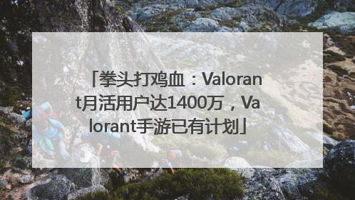 拳头打鸡血：Valorant月活用户达1400万，Valorant手游已有计划