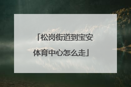 松岗街道到宝安体育中心怎么走