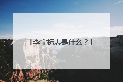 李宁标志是什么？