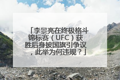 李景亮在终极格斗锦标赛（UFC）获胜后身披国旗引争议，此举为何违规？