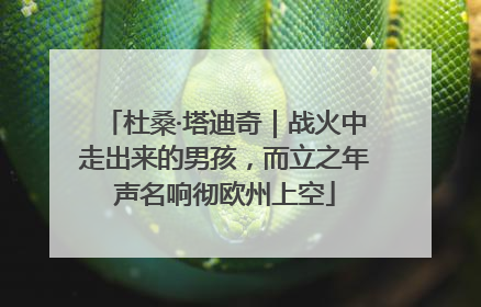 杜桑·塔迪奇｜战火中走出来的男孩，而立之年声名响彻欧州上空