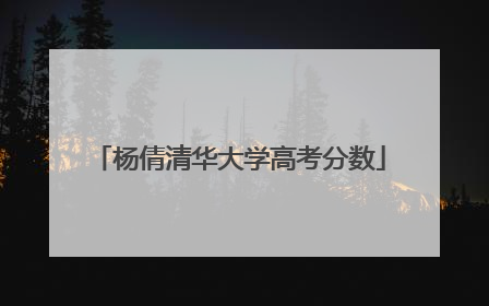 「杨倩清华大学高考分数」台湾清华大学高考分数