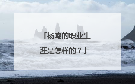 杨鸣的职业生涯是怎样的？