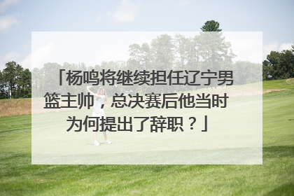 杨鸣将继续担任辽宁男篮主帅，总决赛后他当时为何提出了辞职？