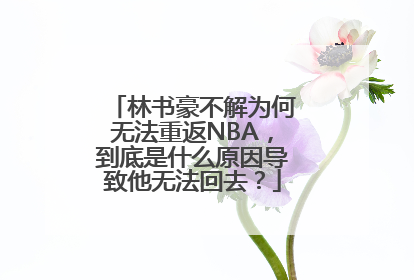 林书豪不解为何无法重返NBA，到底是什么原因导致他无法回去？