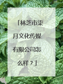 林芝市柒月文化传媒有限公司怎么样？