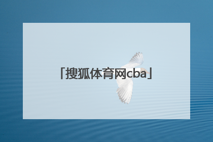 「搜狐体育网cba」搜狐体育网球比分直播