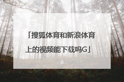 搜狐体育和新浪体育上的视频能下载吗G