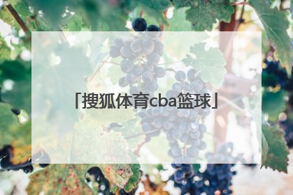 「搜狐体育cba篮球」搜狐体育cba篮球排名