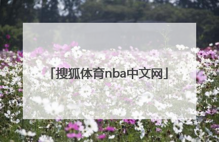 「搜狐体育nba中文网」搜狐体育直播nba中文网