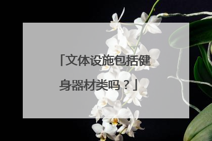 文体设施包括健身器材类吗？