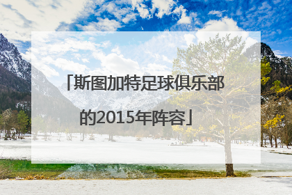 斯图加特足球俱乐部的2015年阵容