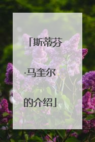 斯蒂芬·马奎尔的介绍