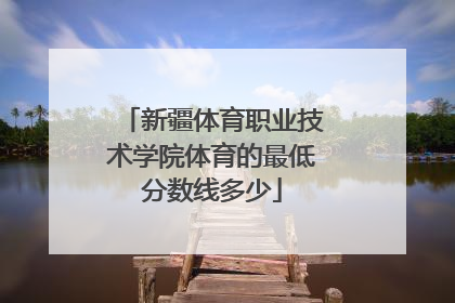 新疆体育职业技术学院体育的最低分数线多少