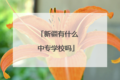 新疆有什么中专学校吗