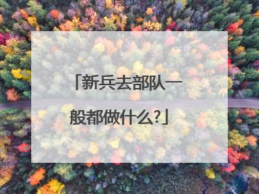 新兵去部队一般都做什么?