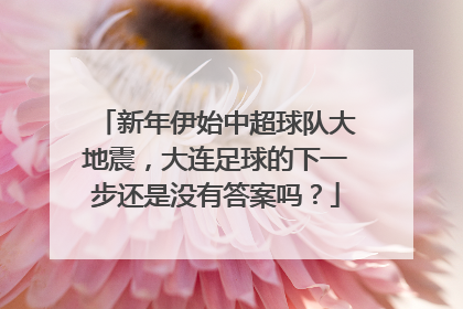 新年伊始中超球队大地震，大连足球的下一步还是没有答案吗？