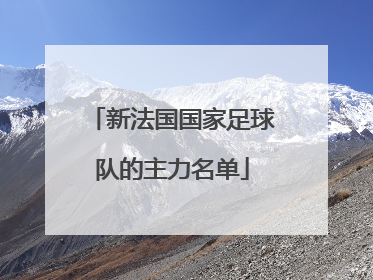 新法国国家足球队的主力名单