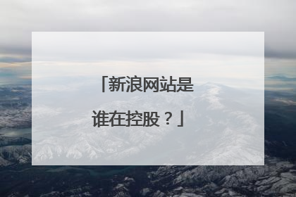 新浪网站是谁在控股？