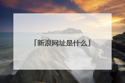 新浪网址是什么