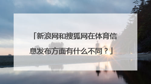 新浪网和搜狐网在体育信息发布方面有什么不同？