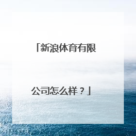 新浪体育有限公司怎么样？