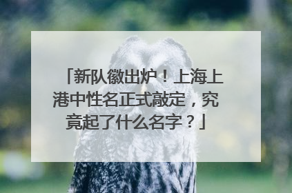 新队徽出炉！上海上港中性名正式敲定，究竟起了什么名字？