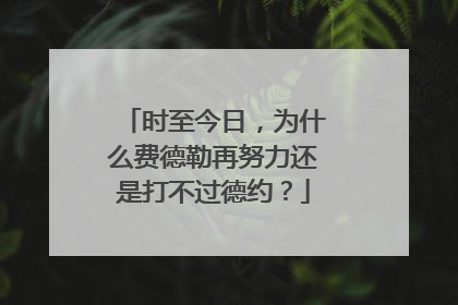 时至今日，为什么费德勒再努力还是打不过德约？