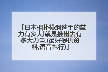 日本相扑横纲选手的掌力有多大!就是推出去有多大力量,(最好提供资料,语音也行)