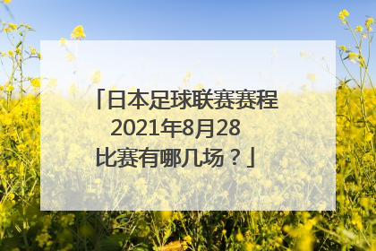 日本足球联赛赛程2021年8月28比赛有哪几场？