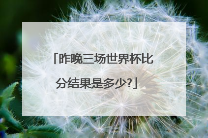 昨晚三场世界杯比分结果是多少?