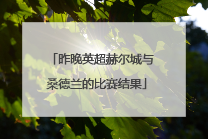 昨晚英超赫尔城与桑德兰的比赛结果