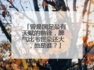 曾是国足最有天赋的前锋，脾气比韦世豪还大，他是谁？