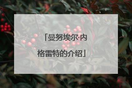 曼努埃尔·内格雷特的介绍