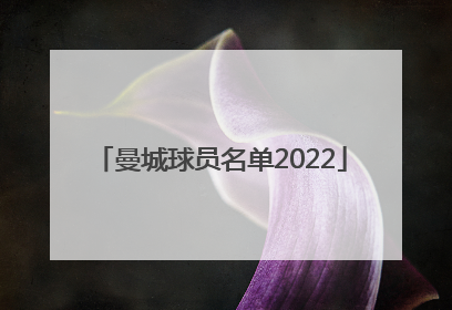 曼城球员名单2022