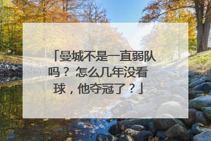 曼城不是一直弱队吗？ 怎么几年没看球，他夺冠了？